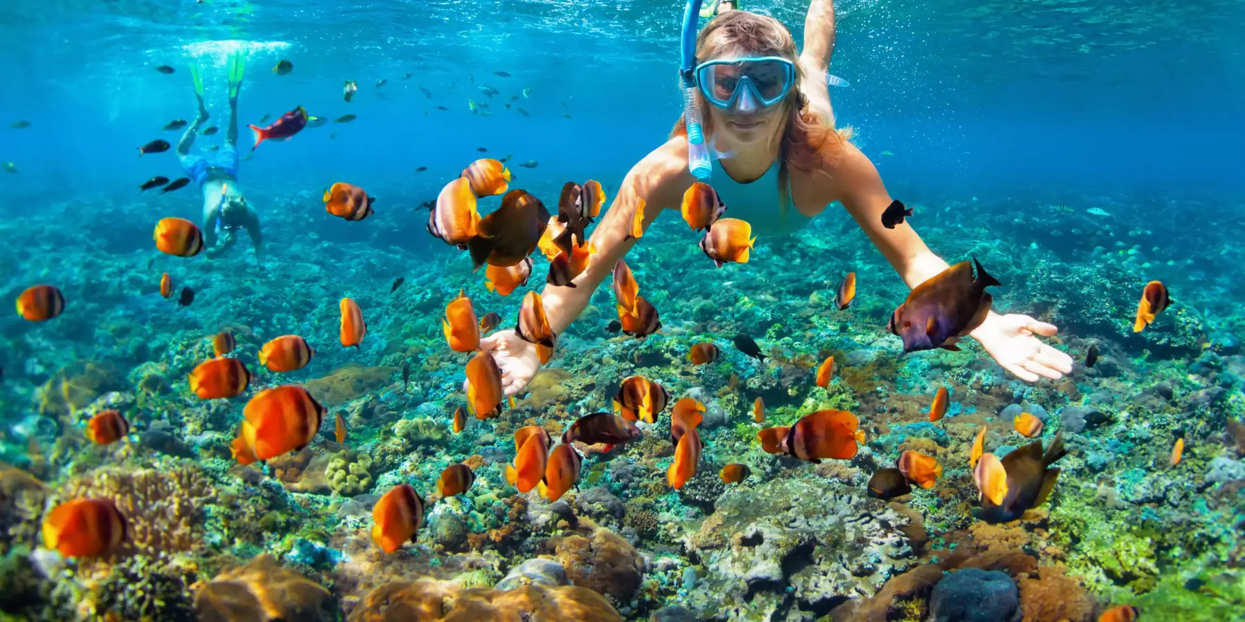 Bahami - snorkljanje