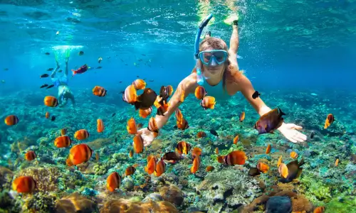 Bahami - snorkljanje