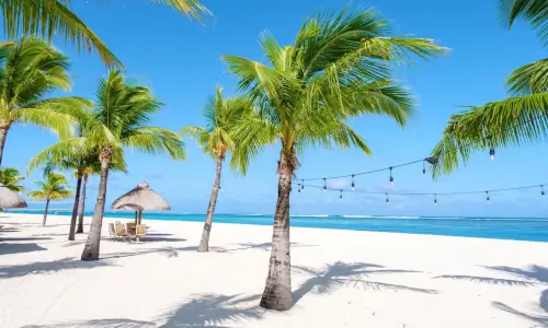 Mavricij-peščena plaža obdana z palmami