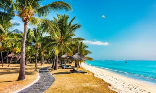 Mavricij-pot ob plaži s palmami