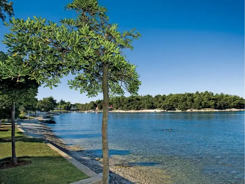 Poreč - hotel Zorna - plaža