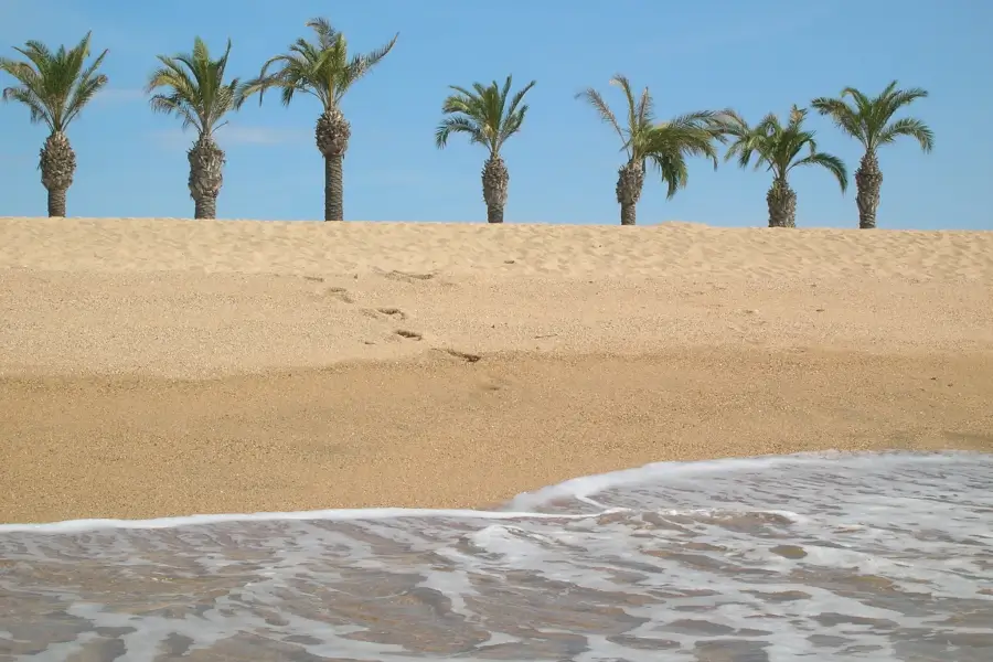 Hotel Alegria Florida Park - Plaža