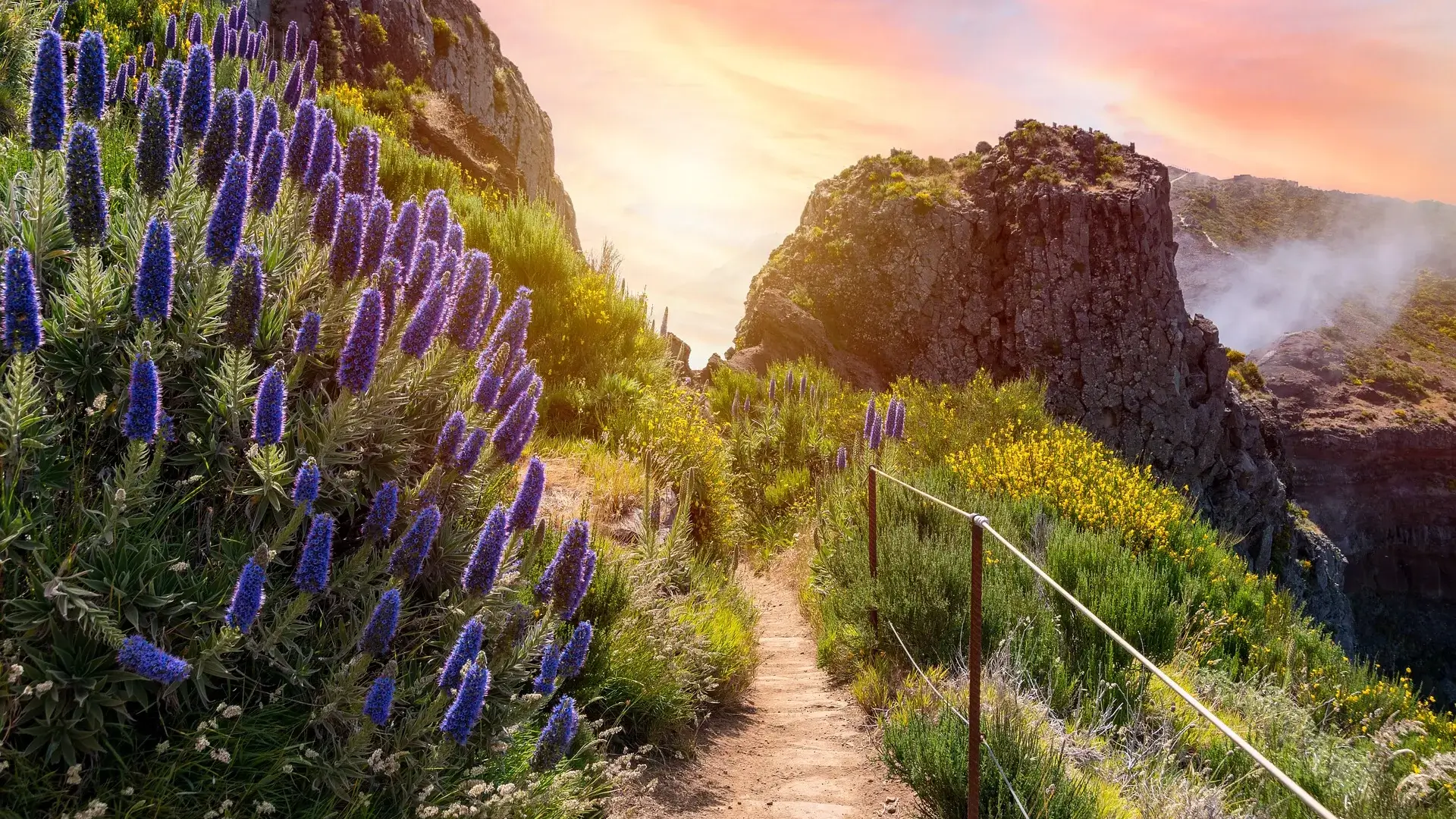 Madeira - sprehod na robu